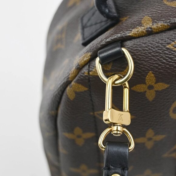 LOUIS VUITTON Palm Spring PM Backpack Bag Monogram Leather Brown M41560 27ZA122 main image 5